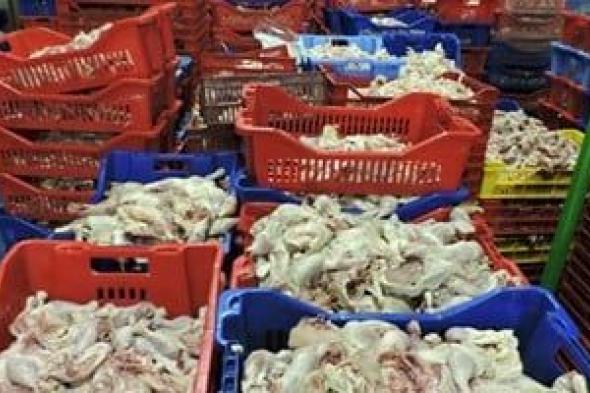 ضبط 9 أطنان هياكل ودواجن فاسدة فى حملة مكبرة لمديرية الطب البيطرى