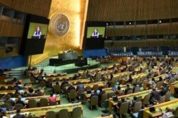 برلماني: قرار الأمم المتحدة بشأن حل الدولتين انتصار للإرادة الدولية