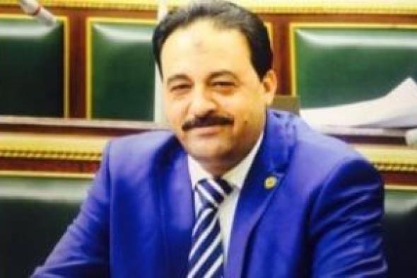النائب أحمد إسماعيل: حملات التشويه الصهيونية لن تكسر الإرادة العربية
