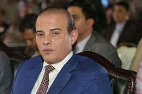 نائب: الحملات الصهيونية ضد الرموز العربية لن تنجح في ضرب التضامن العربي