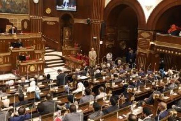 برلمانى: الالتفاف حول القيادة السياسية ضرورة لحماية الوطن وصون المستقبل