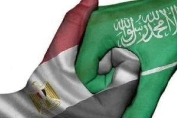 ميشيل الجمل: العلاقات المصرية السعودية نموذج يحتذى به في التضامن العربي