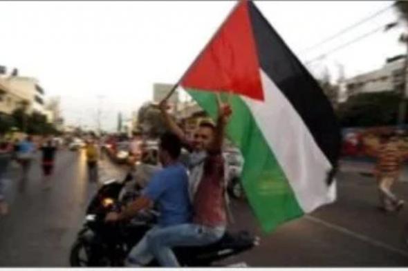 الأمم المتحدة: نؤكد ضرورة فتح جميع معابر قطاع غزة للسماح بتوسيع نطاق المساعدات