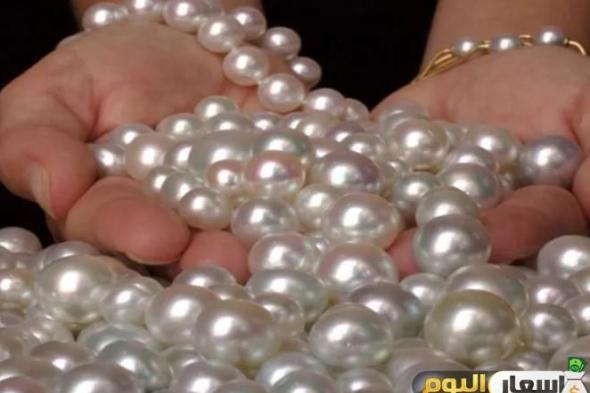 أسعار اللؤلؤ 2025.. كيف يقوم المحار بإنتاجه وما هي خصائصه وألوانه