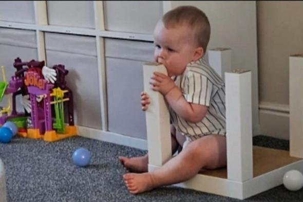 طفل يلتهم كل شيء.. السجاد والخشب والكرتون