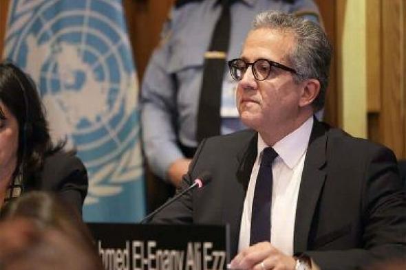 وزير الخارجية: فوز خالد العناني بمنصب مدير عام اليونيسكو «أخذ بالثأر»