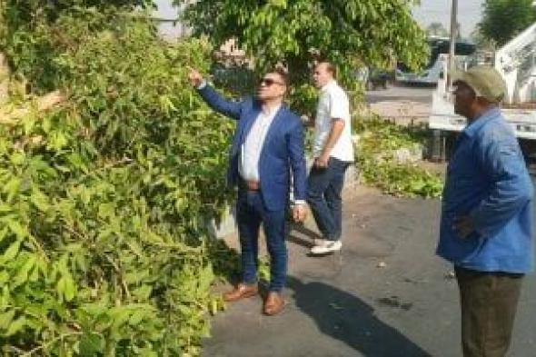 حملات لتجميل وقص الأشجار بالمسار السياحي وشوارع البياضية بالأقصر