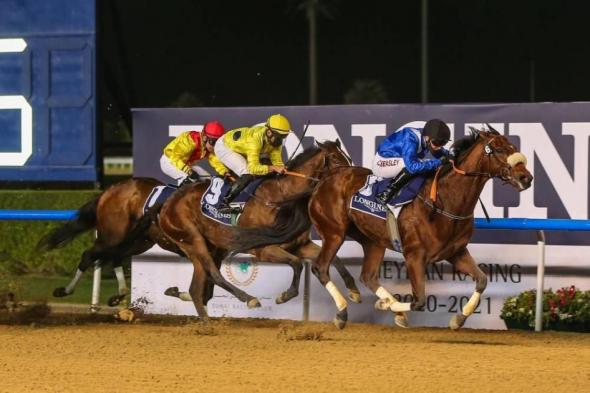 73خيلاً في انطلاق كرنفال سباقات دبي بمضمار ميدان