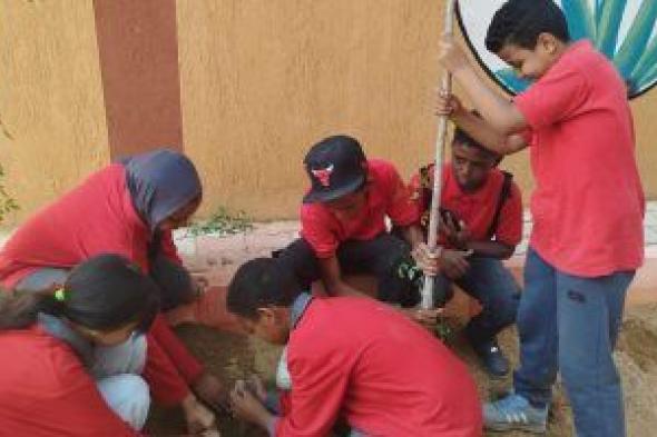 زراعة الأشجار في مدارس أسوان ضمن مبادرة الرئيس
