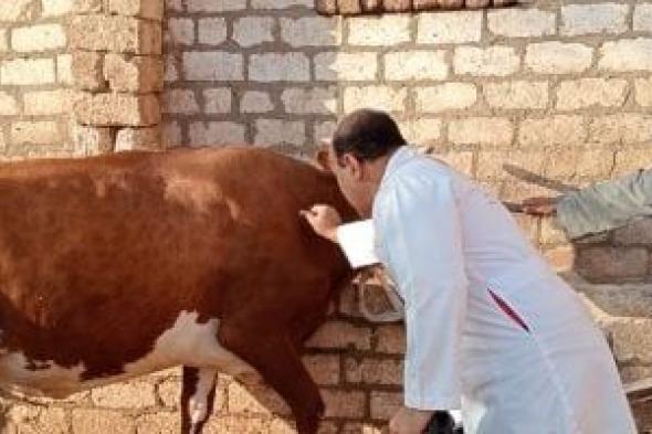 تحصين 36 ألف رأس ماشية خلال الأسبوع الثاني من الحملة القومية الثالثة بأسيوط