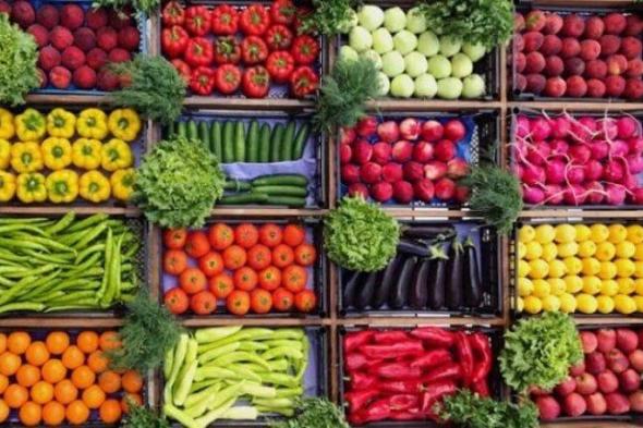 أسعار الخضروات والفواكه ترتفع اليوم الأحد 9 نوفمبر 2025 في الأسواق المحلية