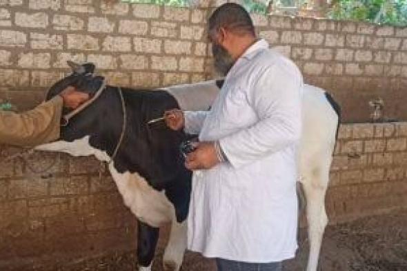 تحصين 7884 رأس ماشية في يوم واحد ضمن الحملة القومية بسوهاج