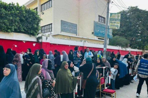زيادة كبيرة في إقبال السيدات على اللجان الانتخابية في الإسكندرية اليوم