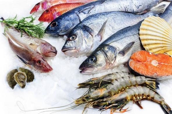 أسعار الأسماك والجمبري تسجل ارتفاعًا ملحوظًا اليوم الثلاثاء 11 نوفمبر 2025