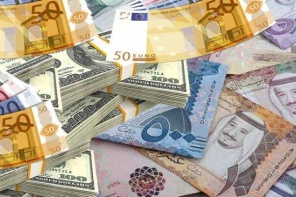 أسعار العملات العربية والأجنبية تتقلب اليوم الثلاثاء 11 نوفمبر 2025