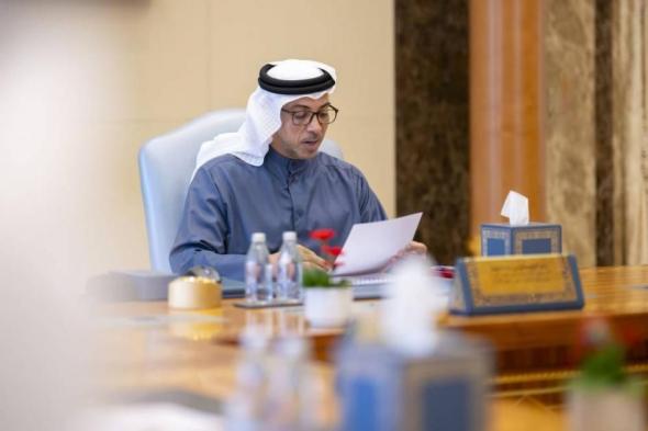 منصور بن زايد يطلع على أداء «مبادلة للاستثمار» ونتائجها المالية