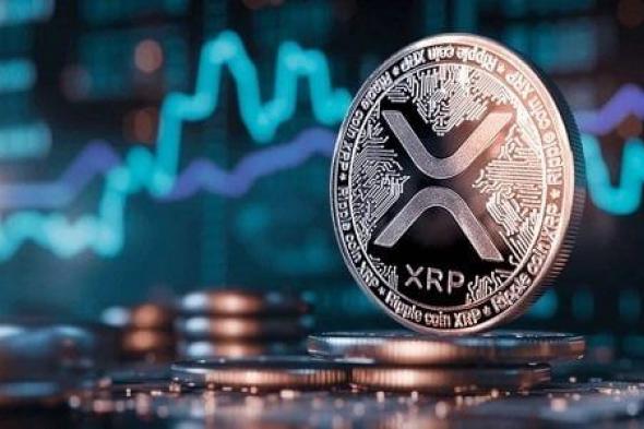 منصات تداول حلال تسهم في ارتفاع سعر ريبل.. Bybit الخيار الأمثل للمستثمرين