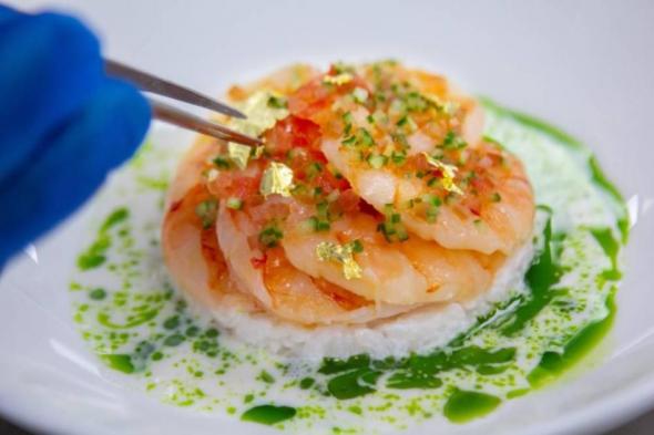 «الإمارات لتموين الطائرات» تقدم 300 ألف وجبة خلال المعرض