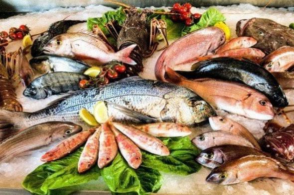 أسعار الأسماك والجمبري ترتفع في الأسواق المصرية يوم الأربعاء 12 نوفمبر 2025