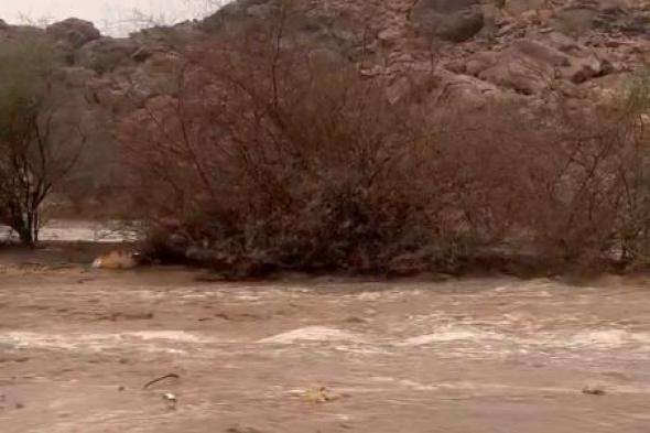 شاهد.. أمطار غزيرة وسيول بأحياء جنوب مكة المكرمة