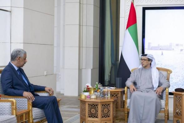 منصور بن زايد: الإمارات حريصة على دعم جهود إفريقيا التنموية