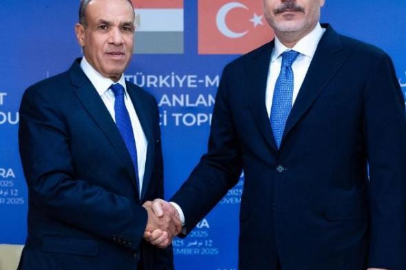 وزير الخارجية التركي: مصر أكبر شريك تجاري لتركيا في إفريقيا