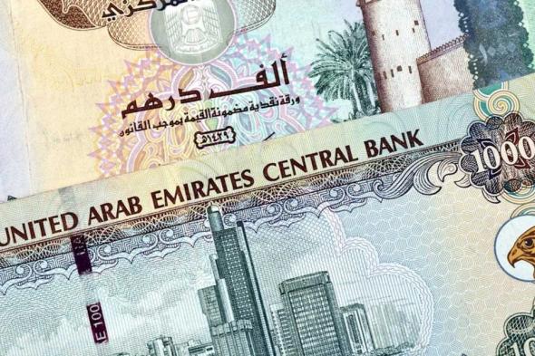 سعر الدرهم الإماراتي اليوم الخميس 13 نوفمبر 2025 يشهد استقرارًا ملحوظًا