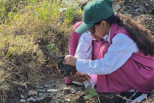 غرس 700 شتلة سدر بوادي قنا غرب عسير .. ضمن مبادرة السعودية الخضراء