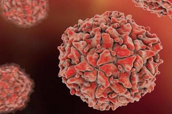 سلالة فيروس شلل الأطفال في مياه صرف بألمانيا