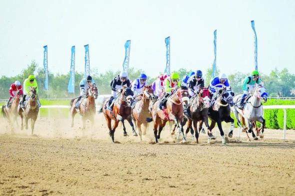 83 خيلاً في السباق الافتتاحي بمضمار نادي الشارقة للفروسية