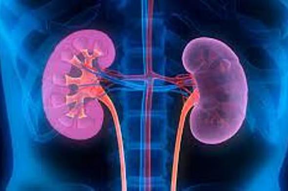 استشاري: السلامي والمورتديلا تضرّ الكلى على المدى الطويل