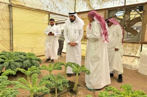 إنتاج زراعي عضوي يصل إلى 6 آلاف طن في المدينة: نجاح متميز ومستدام