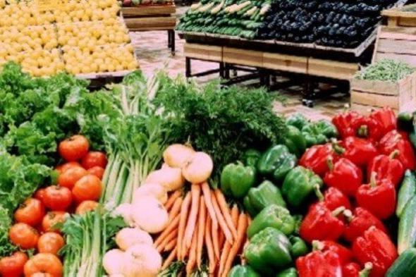 أسعار الخضروات والفاكهة تتغير في سوق العبور اليوم 17 نوفمبر وأبرز التفاصيل