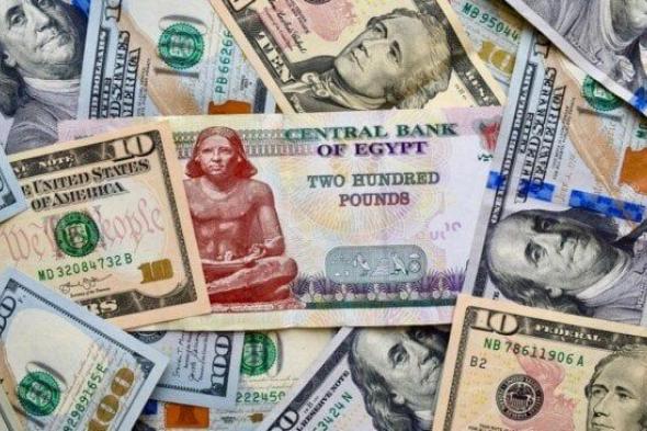 سعر الدولار اليوم أمام الجنيه المصري بتاريخ 18 نوفمبر 2025 في الأسواق المالية