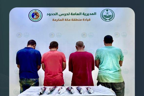 حرس الحدود يضبط 4 مقيمين لممارستهم صيد الأسماك دون تصريح