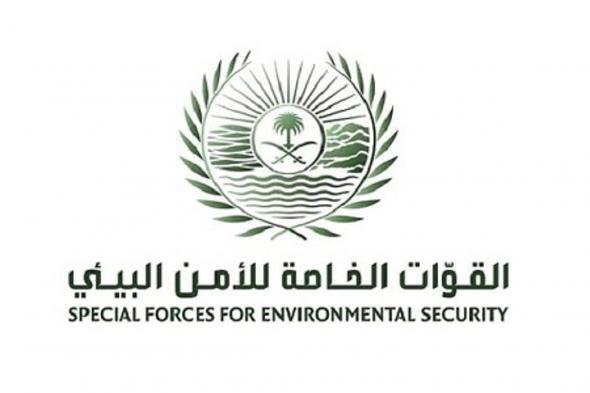 الأمن البيئي يضبط مخالفًا لتلويثه البيئة بتفريغ مواد خرسانية في المنطقة الشرقية