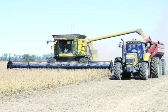 الصين تشتري 14 شحنة من فول الصويا الأمريكي