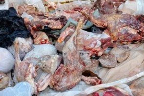 ضبط 75 طن لحوم وكبدة فاسدة في حملة كبيرة بالقليوبية