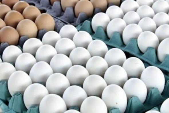 تقرير اليوم: أسعار كرتونة البيض للمستهلك الثلاثاء 18 نوفمبر 2025 بمتناول اليد
