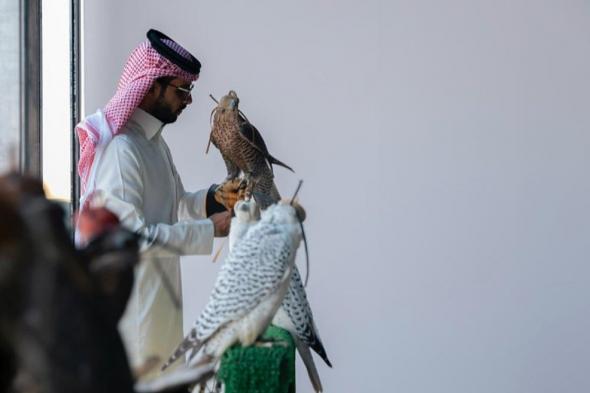 نادي
    الصقور
    السعودي
    يختتم
    مشروع
    توثيق
    ملكيات
    الصقور
    وتصحيح
    أوضاعها