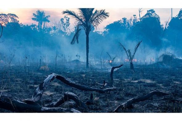 غابات الأرض تتحول من «حليف» لمقاومة تغير المناخ إلى «جزء من المشكلة»