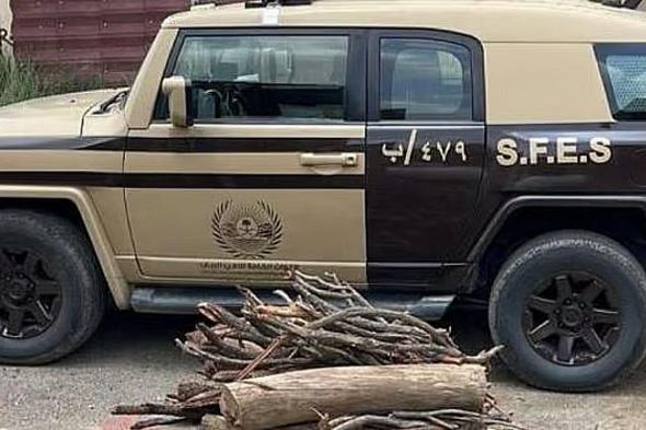 «قوات
    الأمن
    البيئي»
    تضبط
    مواطنًا
    لنقله
    حطبًا
    محليًا
    في
    منطقة
    المدينة
    المنورة