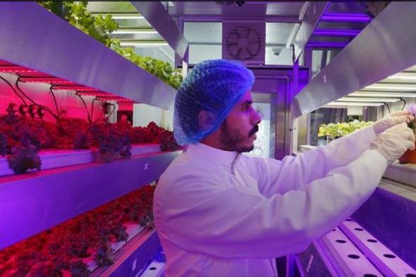 «كاكست»
    تطلق
    مركز
    التميز
    للأمن
    الغذائي
    بالشراكة
    مع
    «البيئة»
    وجامعة
    فاخينيغن
    الهولندية