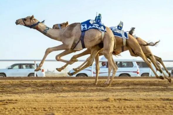 الهجن
    السعودية
    تفتتح
    "كأس
    وزارة
    الرياضة"
    بكأس
    ولقب
    13
    شوطًا