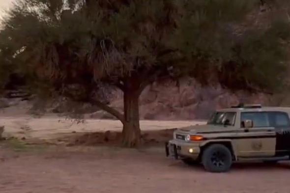 "الأمن
    البيئي"
    يضبط
    ناقل
    حطب
    محلي
    بالرياض
    ويغرّمه
    16
    ألف
    ريال