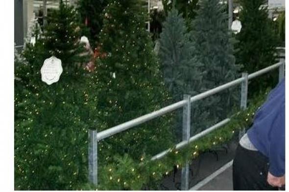 سرقة 130 شجرة عيد الميلاد من بائع في ألمانيا