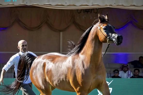 اليوم..
    انطلاق
    العرض
    الدولي
    الثامن
    لجمال
    الخيل
    العربية
    بمشاركة
    840
    خيلًا
    برعاية
    خادم
    الحرمين