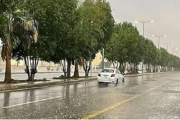 «المرور»
    تحذر
    من
    خطر
    انزلاق
    المركبة
    خلال
    هطول
    الأمطار