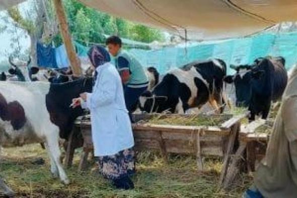 "الطب
البيطرى"
يشن
حملات
شاملة
لـ"تطهير
الأسواق"
من
المستحضرات
مجهولة
المصدر