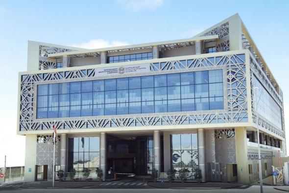 «التوطين»: ضبط 571 حالة "توطين صوري" منذ بداية 2025